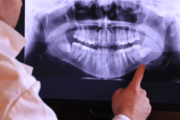 Best Emergency X-Rays and Diagnostics in Oconomowoc, WI